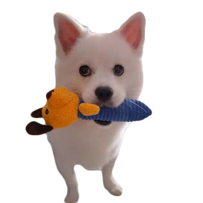 Os brinquedos sadios do luxuoso dos animais de estimação do cão mordem o molar resistente que sai os dentes o brinquedo macio