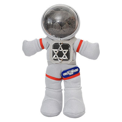 O algodão de ISO9001 PP encheu crianças Teddy Bear Stuffed Toys de 30cm